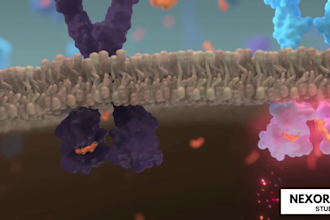 create 3d medical device animation, surgical animation, pharmaceutical moa video