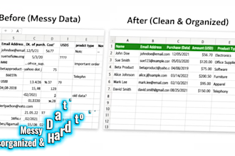organize your data professionally