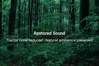 restore and clean up your field recordings