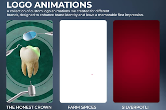 create premium custom logo animation