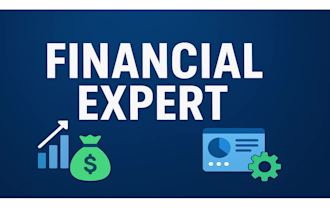 do professional bookkeeping and prepare accurate financial reports