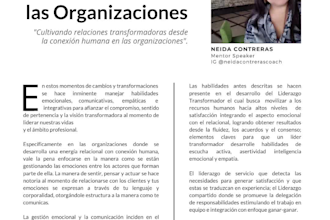 yo diseñaré una revista digital en canva