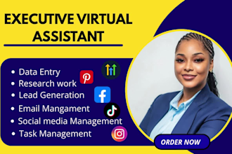 personal admin executive virtual assistant ghl expert social media manager