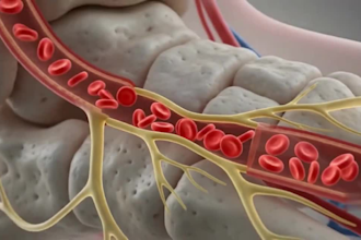 create 3d medical animation video for 3d medical device, 3d dental, surgery