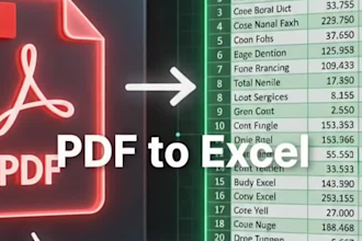 clean, format, merge, and split excel data professionally