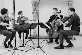 record orchestral instruments, strings, woodwinds, brass