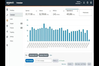 setup and optimize amazon ads campaigns, amazon PPC campaign