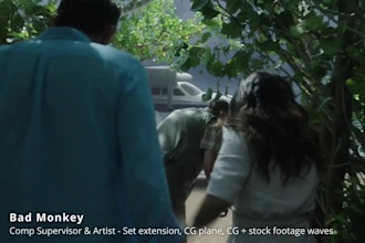 do vfx compositing, rotoscoping, cleanup and tracking, smoke ,visual effects,