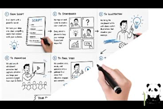 create whiteboard animation 24h service