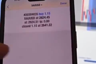 build a profitable forex ea bot, forex trading bot, forex ea robot, trading bot