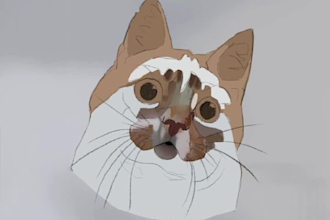 design digital illustrations or drawings