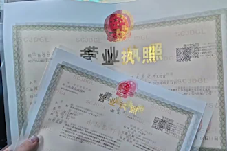 help you register company in guangzhou