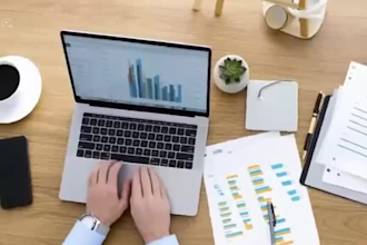 provide virtual admin and project management support