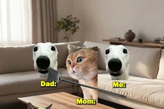 create cat meme shorts