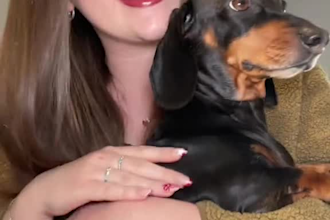 produce engaging pet ugc content for pet products and brands