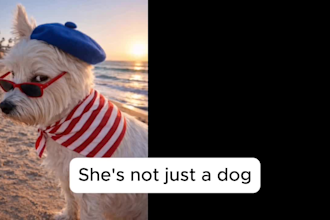 create unique and engaging dog focused ugc content