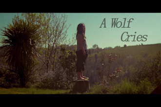 color correct and color grade your footage