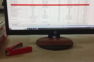 provide expert data entry, advanced ms word formatting