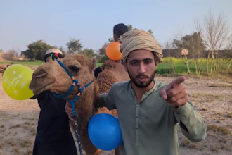 wish african happy birthday video happy birthday video
