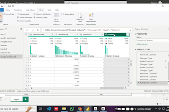 do data cleaning, analysis, and executive ready reporting