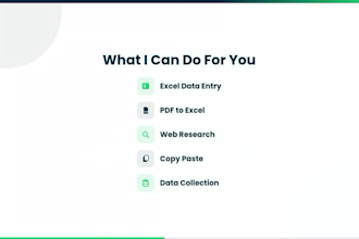 do accurate data entry in excel, PDF to excel, web research