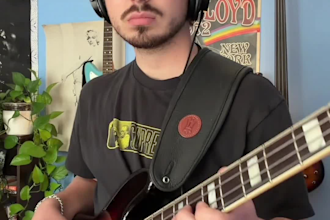 be your pro electric bass player