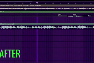 make you a custom fl preset