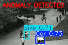 build an object detection script using yolo and opencv
