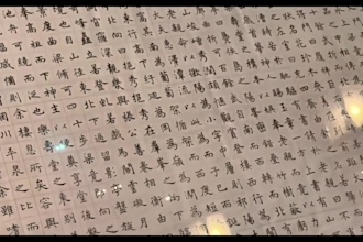 be your video production manager and connect you with expert chinese edit
