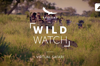do video editing and simple motion graphics