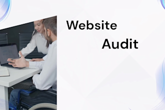 do a professional website audit, SEO analysis and full report