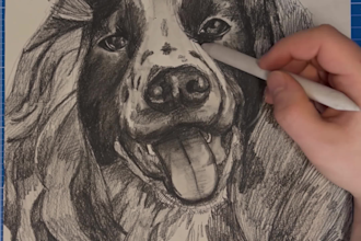 draw your dog or pet with charcoal