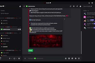 setup custom discord server with bots categories and roles