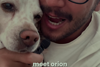 be your male ugc creator with dogs or couple