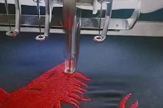 do expert custom embroidery digitizing in wilcom dst pes
