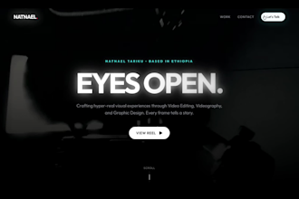 build a stunning animated responsive custom website