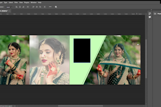 design a professional wedding album and photo book
