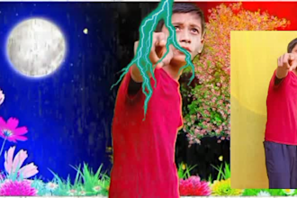 do professional all video edit  social media video editing