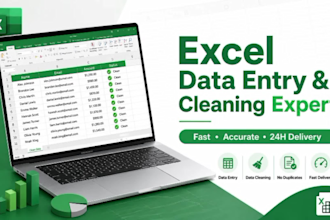 do excel data entry and inventory management