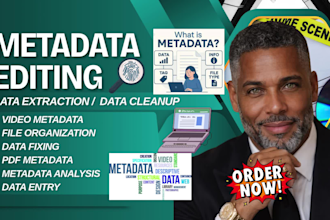 do metadata editing, data extraction for audio, video, and image, bulk data fix