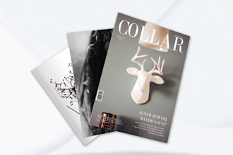 make creative and clean magazine promo