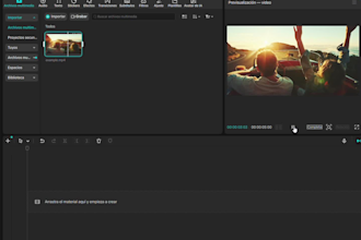 professional video editor  high quality edits