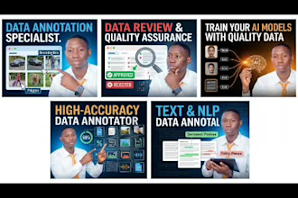 perform  accurate data annotation tasks data entry