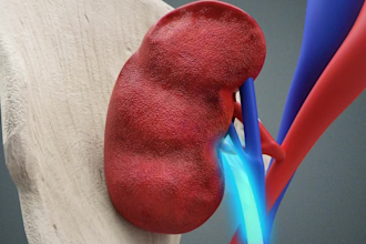 create realistic 3d medical animation