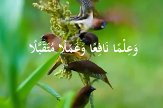 create high quality quran and hadith short reels with subtitles