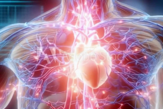 3d medical animation, 3d medical explainer video, surgery animation 3d anatomy
