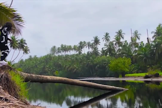 edit cinematic short films and full length videos professionally