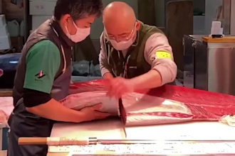 translate english into natural japanese manually or both