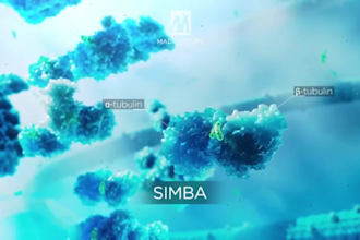 create 3d molecular animations of cellular mechanisms and protein interactions