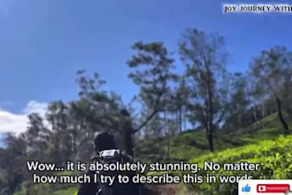 add engaging animated subtitles and captions to your videos